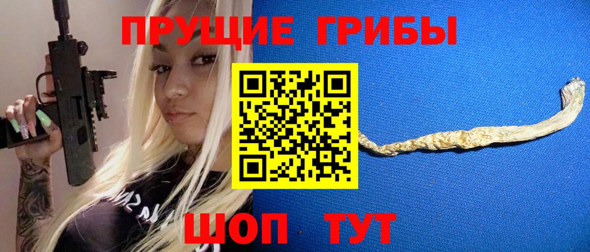 Псилоцибиновые грибы GOLDEN TEACHER  Вход с VPN  Орск  Псилоцибиновые грибы прущие грибы 